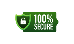 100% secure payments